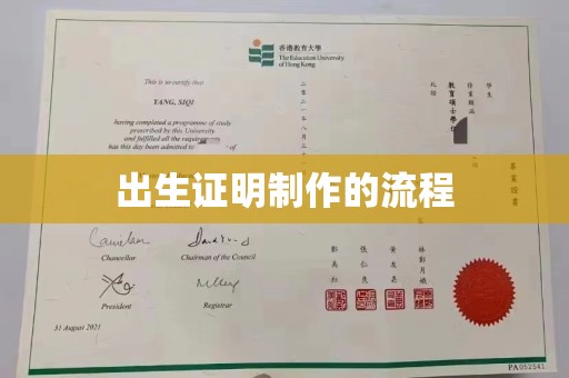 赤壁出生证明制作的流程