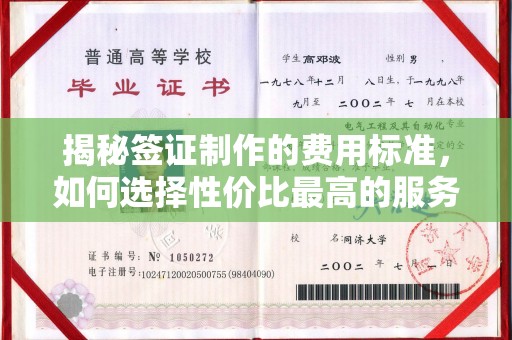 赤壁揭秘签证制作的费用标准，如何选择性价比最高的服务？