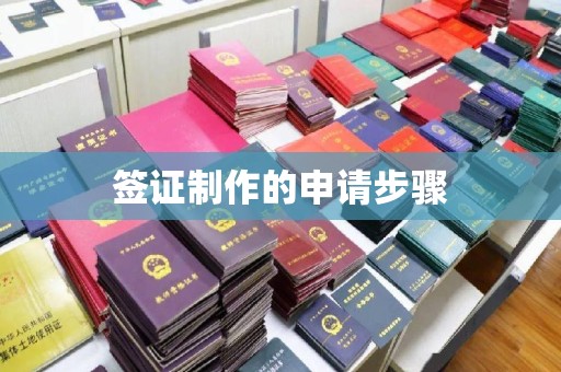 赤壁签证制作的申请步骤