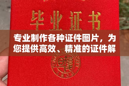 赤壁专业制作各种证件图片，为您提供高效、精准的证件解决方案